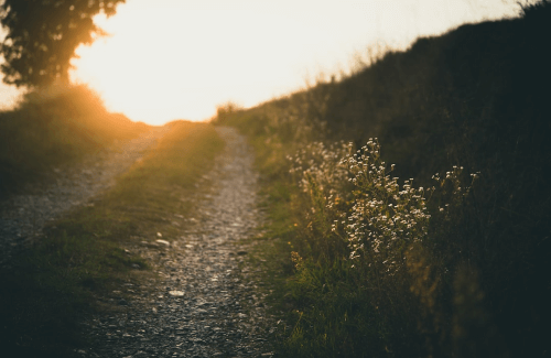 Apertura de caminos SAMIRA