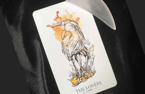 Endulzamientos SAMIRA